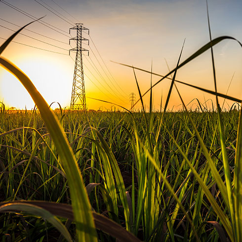 Transformando el Liderazgo y el Compromiso Operativo