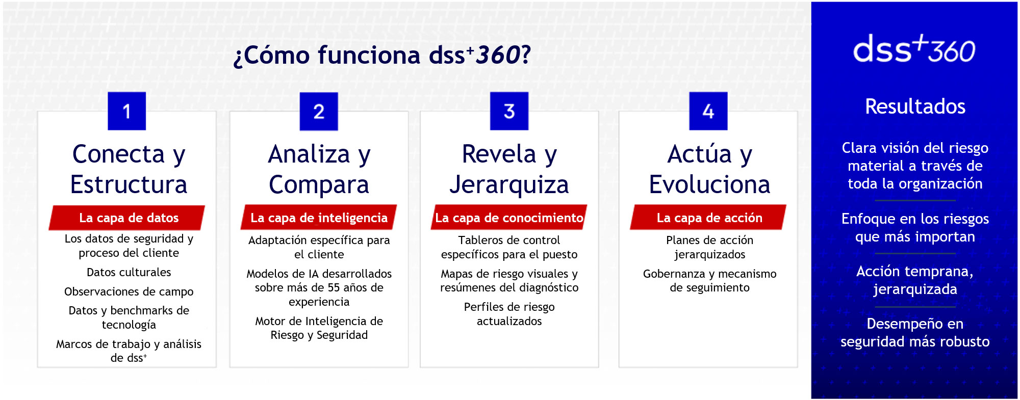 What is dss+360
